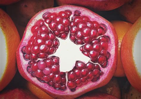 We did not find results for: Can Dogs Eat Pomegranate - Can Dogs Eat Pomegranate Seeds