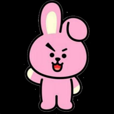Bt21 Cooky Instagram Pfphighlight Covericon Minnie Character