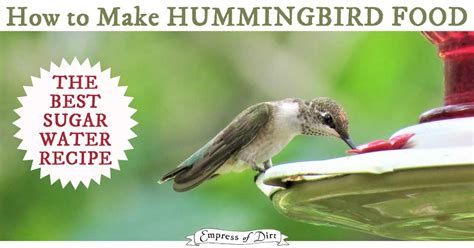 We did not find results for: How to Make Hummingbird Food (Sugar Water Recipe ...