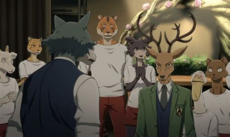 Beastars Season 3 Release Date And Everything We Know So Far Regaltribune