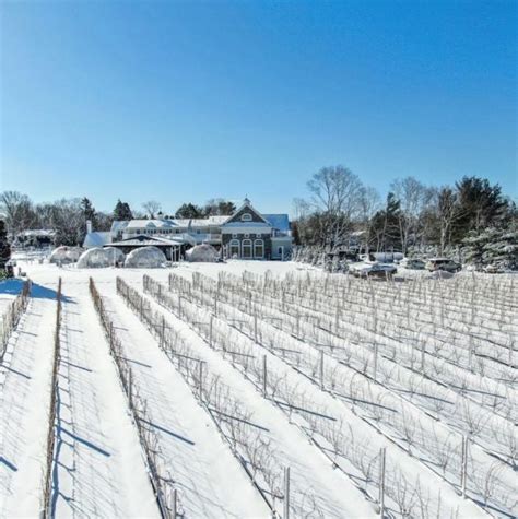 In Northport Del Vino Vineyards Offers Igloos With A View