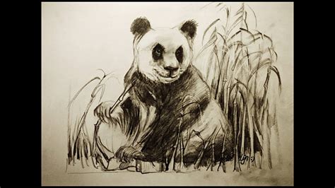 Nou ja, 2 jaar geleden tenminste. Hoe teken je een Panda / dieren tekenen / #25 - YouTube