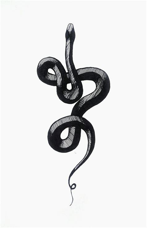 Snakes drawing king cobra cobras, tattoo snake transparent background png clipart. Realistic Snake Drawing | Free download on ClipArtMag