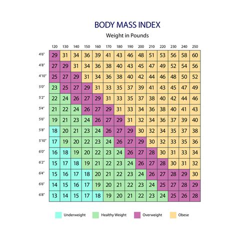 Photographic Height Weight Chart Lbs Bmi Free Download Sexiezpicz Web Porn