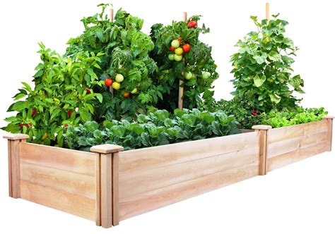Raised Vegetable Garden Beds Lets Grow Vegetables
