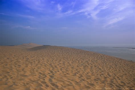 Dune (2021) cast and crew credits, including actors, actresses, directors, writers and more. La dune du pilat au Fil des Saisons