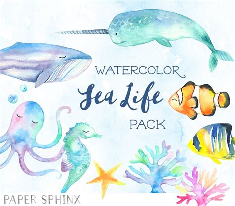 Sweet Sea Life Watercolor Pack Illustrations ~ Creative Market