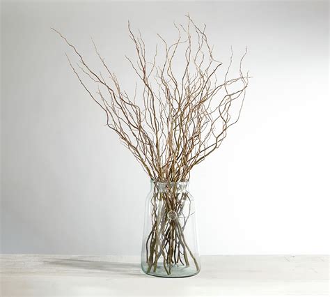 Live Curly Willow Branches Pottery Barn