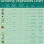 Vegetable Garden Sunlight Chart