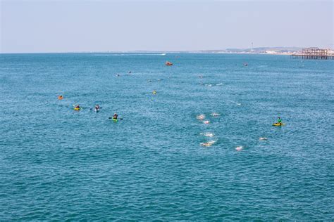 Event Gallery Brighton Pier To Pier Swim Race 2023