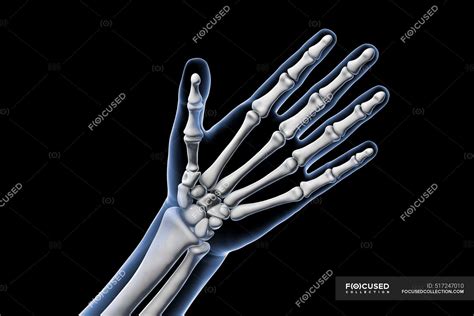 Ossos Da Mão Humana Ilustração — Preto Dimensionais Stock Photo