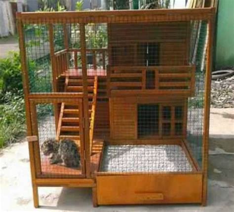 desain rumah kucing  kayu minimalis renovasi