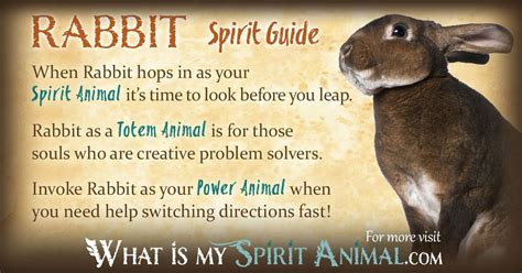 Rabbit Symbolism And Meaning Spirit Totem And Power Animal
