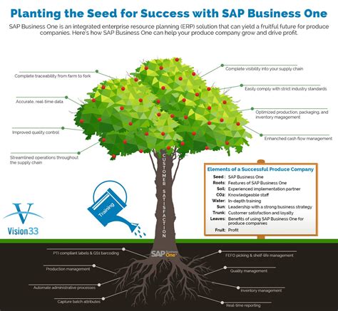 Take A Look At The Sap Business One For Produce Companies Infographic