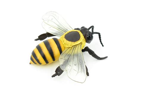Bumblebee Bumble Bee Honey Bee Rubber Toy Animal Realistic Figure