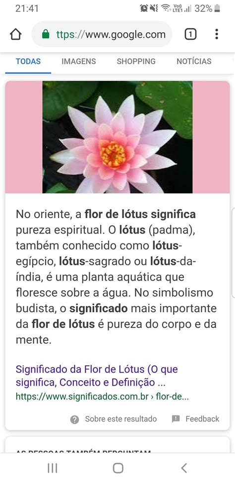 Significado Da Flor De Lótus Significado Da Flor De Lótus
