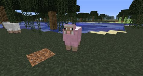 It can also accelerate its own growth by eating grass. I found a natural pink sheep in single player! Minecraft Blog
