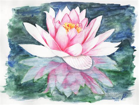 Water Lily Drawing At Getdrawings Free Download