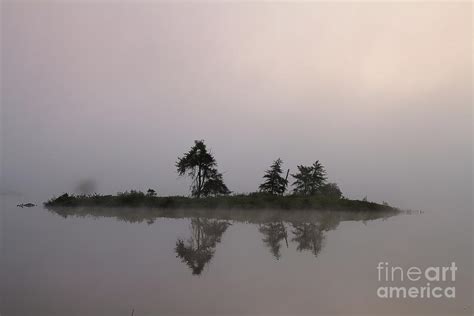 Foggy Reflection Photograph By Teresa Mcgill Fine Art America