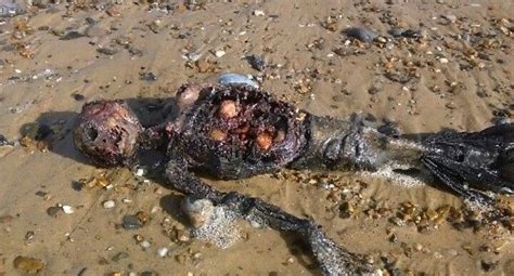 Gruesome Images Of Dead ‘mermaid Washed Up On Beach
