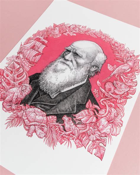 Charles Darwin Domestika