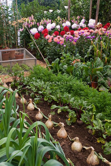 Planters with drainage holes are musts — you don't want your plants to drown! Vegetable & Flower Garden | Plant & Flower Stock ...