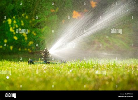 Lawn Sprinkler Spraying Water Over Green Grass In Summer Stock Photo