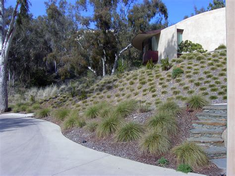 Residential Traditional Landscape San Diego By Environs Landscape Architecture Inc Houzz