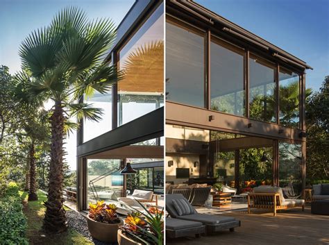 Palm Tree Interior Design Ideas