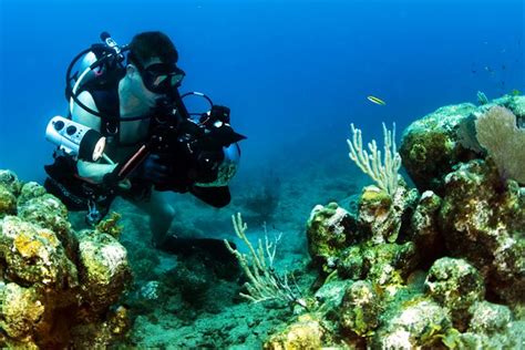 Underwater Photography Guide For Beginners Update 2023