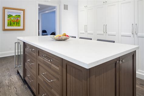 Looking for custom kitchen cabinets in toronto? Transitional Kitchen Designing Toronto | Davisville Kitchens