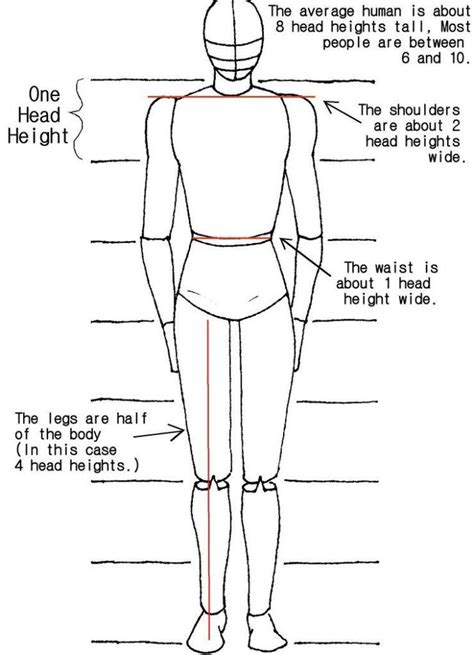 How To Draw Body Shapes Step By Step Harunmudak