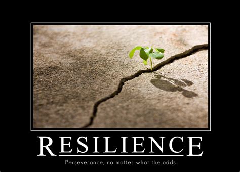 Quotes About Resilient 151 Quotes