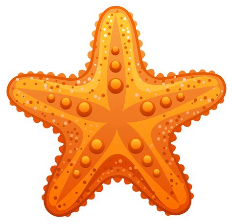 Download Cute Starfish Transparent Hq Png Image Freepngimg