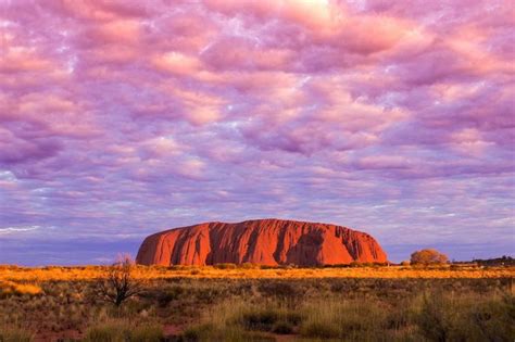 Outback Adventure Uluru And Alice Springs 5 Days Kimkim