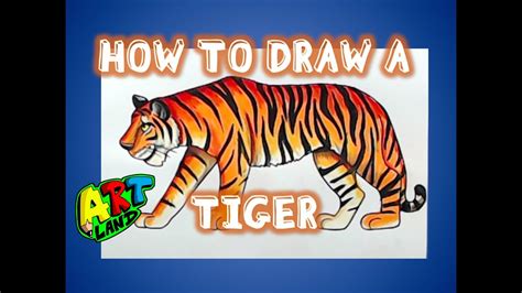 Tigers Drawings For Kids