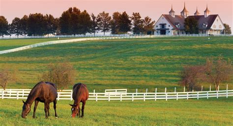 Wednesday Wanderlust Autumn In Kentucky Horse Country — Sg Travel