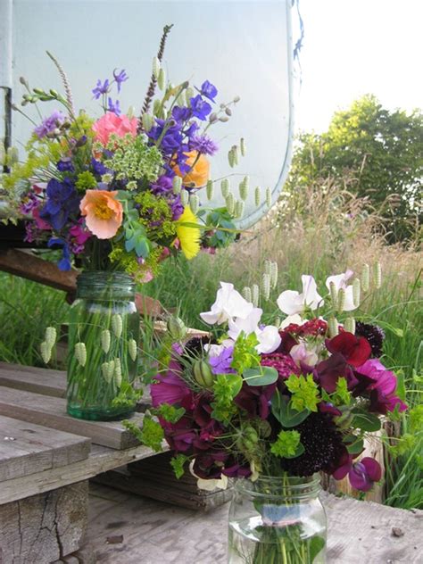 Dianthus in general make excellent cut flowers, and many carnation varieties have a beautiful spicy fragrance in addition to an extraordinarily long vase life. New Wives Club #5: how to grow your own cut flowers - what ...
