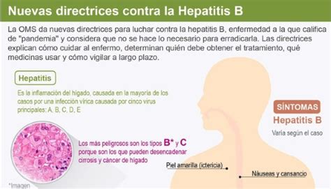 La Oms Publica La Primera Guía Para El Tratamiento De La Hepatitis B