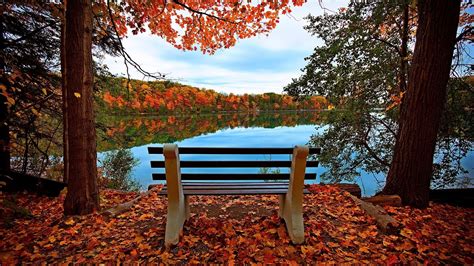 Wallpaper Bench Lake Red Maple Leaves Trees Autumn 1920x1200 Hd
