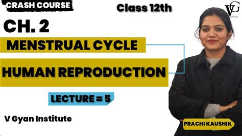 Menstrual Cycle Human Reproduction Ch 2 Le 5 Class 12th