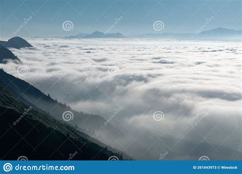 Beautiful Scenery Of A Forest Landscape On Mountains Enveloped In