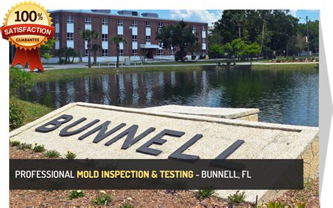 Mold Inspection Bunnell - Mold Inspection & Mold DetectionMold Inspection & Mold Detection