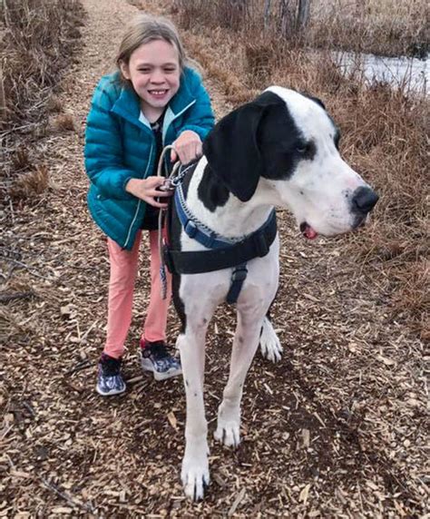 Girl With Rare Medical Condition Can Now Run Thanks To Her Great Dane