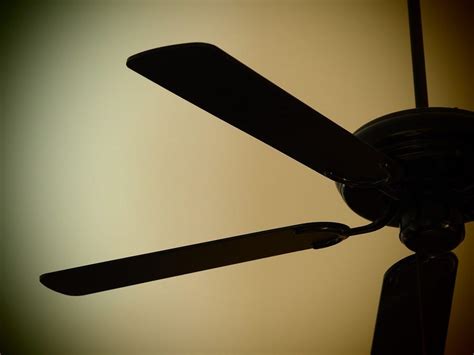 How Can Ceiling Fans Improve Cooling Efficiency