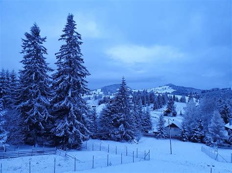 S A Depus Un Strat Nou De Zăpadă în Pasul Tihuța și în Munții Rodnei