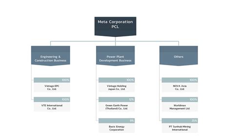 Group Structure Meta Corporation