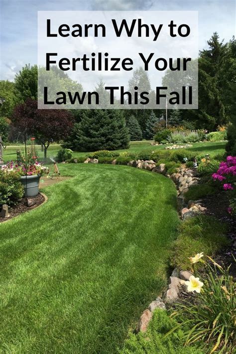 Best Place To Find Perfect Lawnoverseeding Lawnwhen To Fertilize Lawn