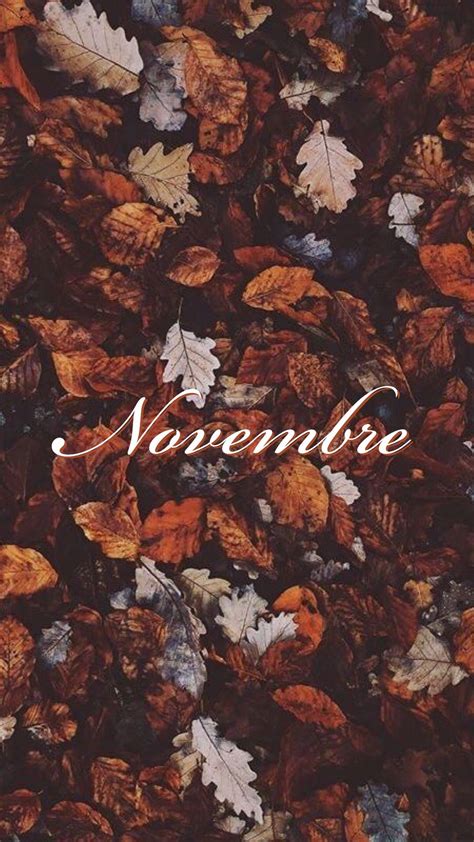 November Fall Wallpapers