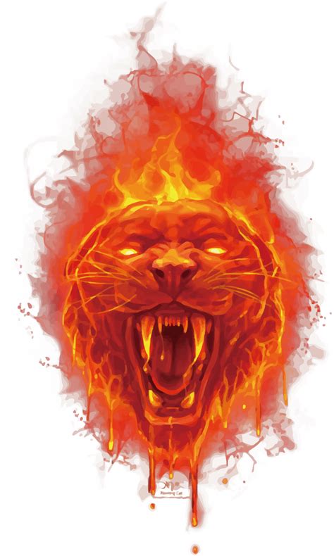 Fire Lion Logo Png Pnghq